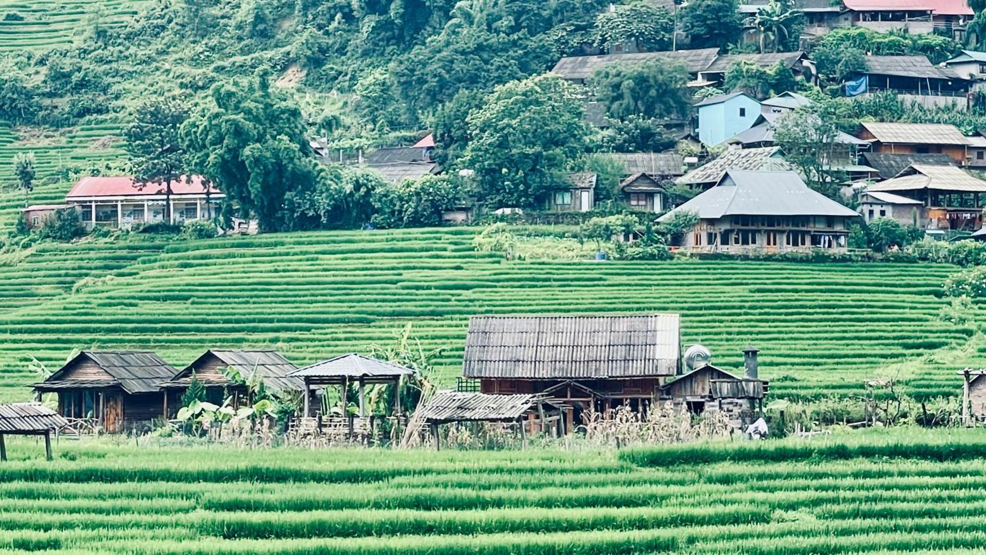 Хостел Eco Rice Fields House Шапа Экстерьер фото